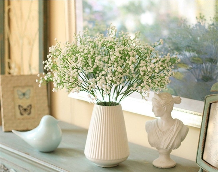 Gypsophila1