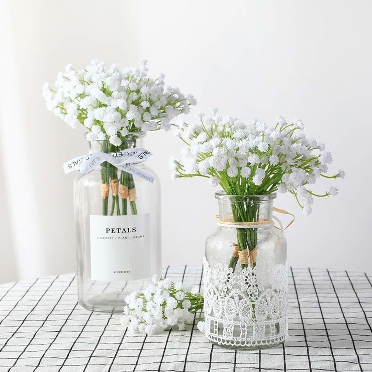 Gypsophila2