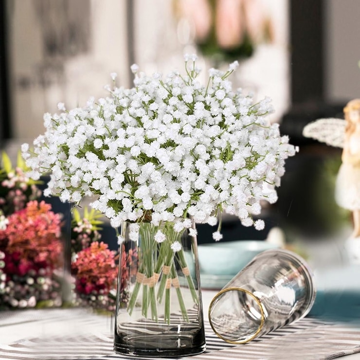 Gypsophila3