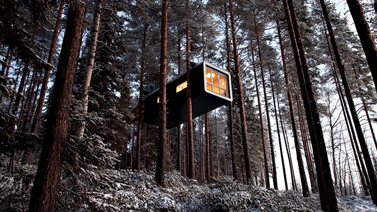 Treehotel10