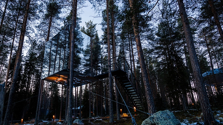 Treehotel9